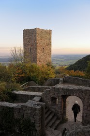 France, Haut-Rhin (68), les trois donjons d'Eguisheim dans le massif des Vosges