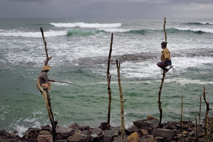 Sri Lanka, Province du Sud, région de Galle, Weligama, plage de Midigama, pecheurs sur poteaux