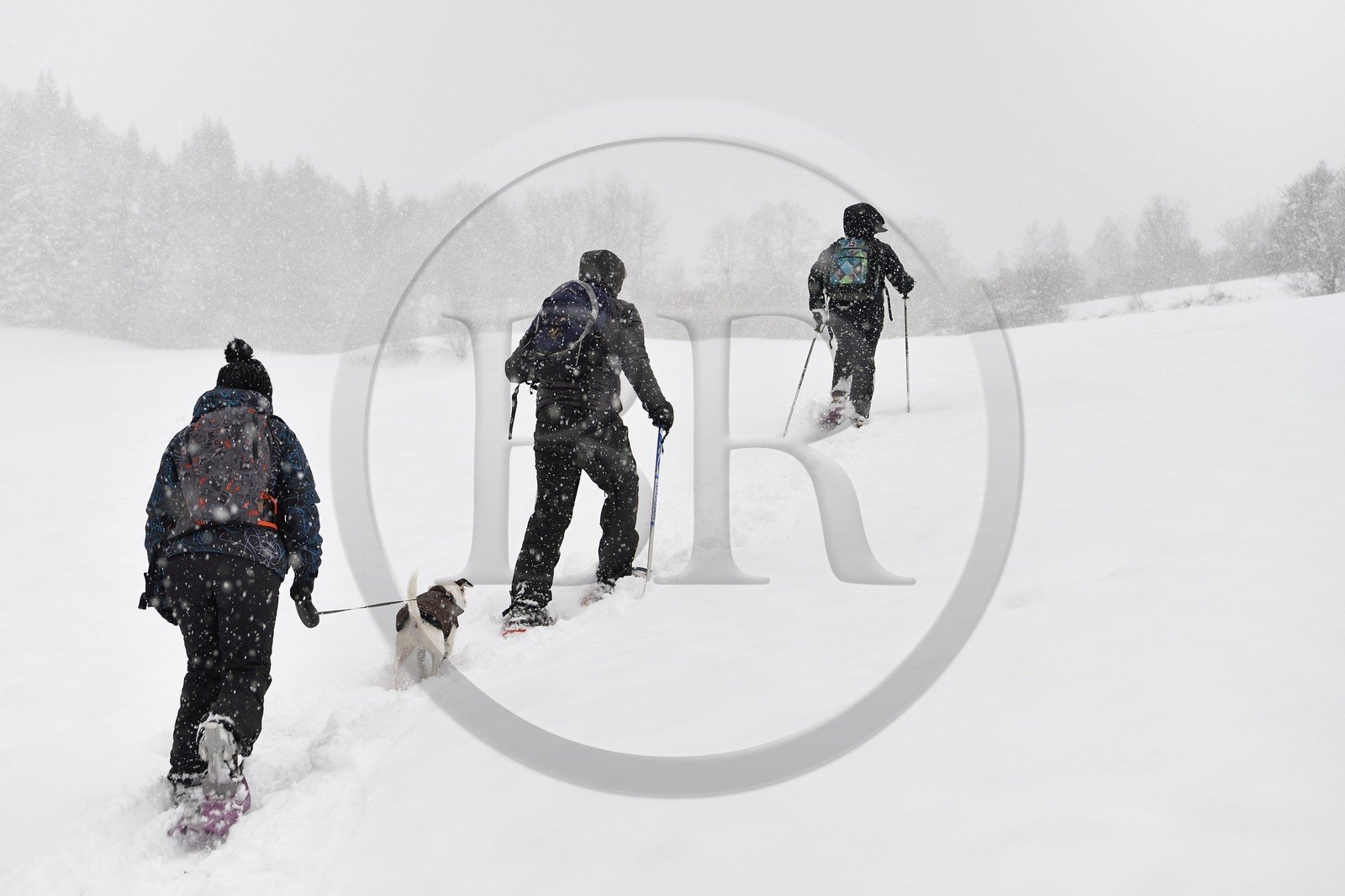 France, Haute Savoie, Araches la Frasse, Les Carroz d'Araches ski resort, snowshoeing