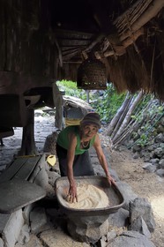 Philippines, Ifugao province, village of Batad, old woman sorting the rice under her granary