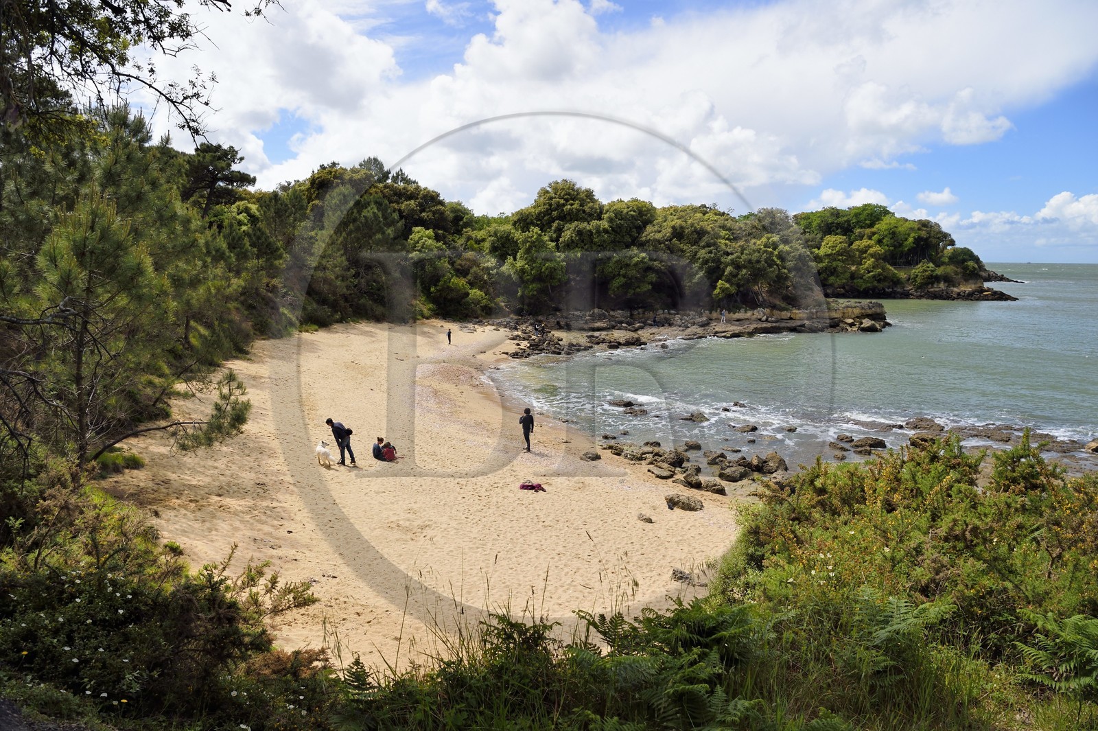 France, Charente-Maritime (17), Ile d'Aix, la crique de la plage des Sables d’Or