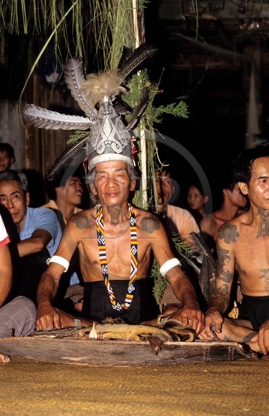 Malaisie, île de Bornéo, Sarawak, guerrier Iban, tribu des Dayaks (anciens coupeurs de têtes)