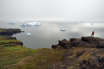 Groenland, cote ouest, Ile de Disko, Qeqertarsuaq, randonneur sur la côte et icebergs dans la brume en arrière plan