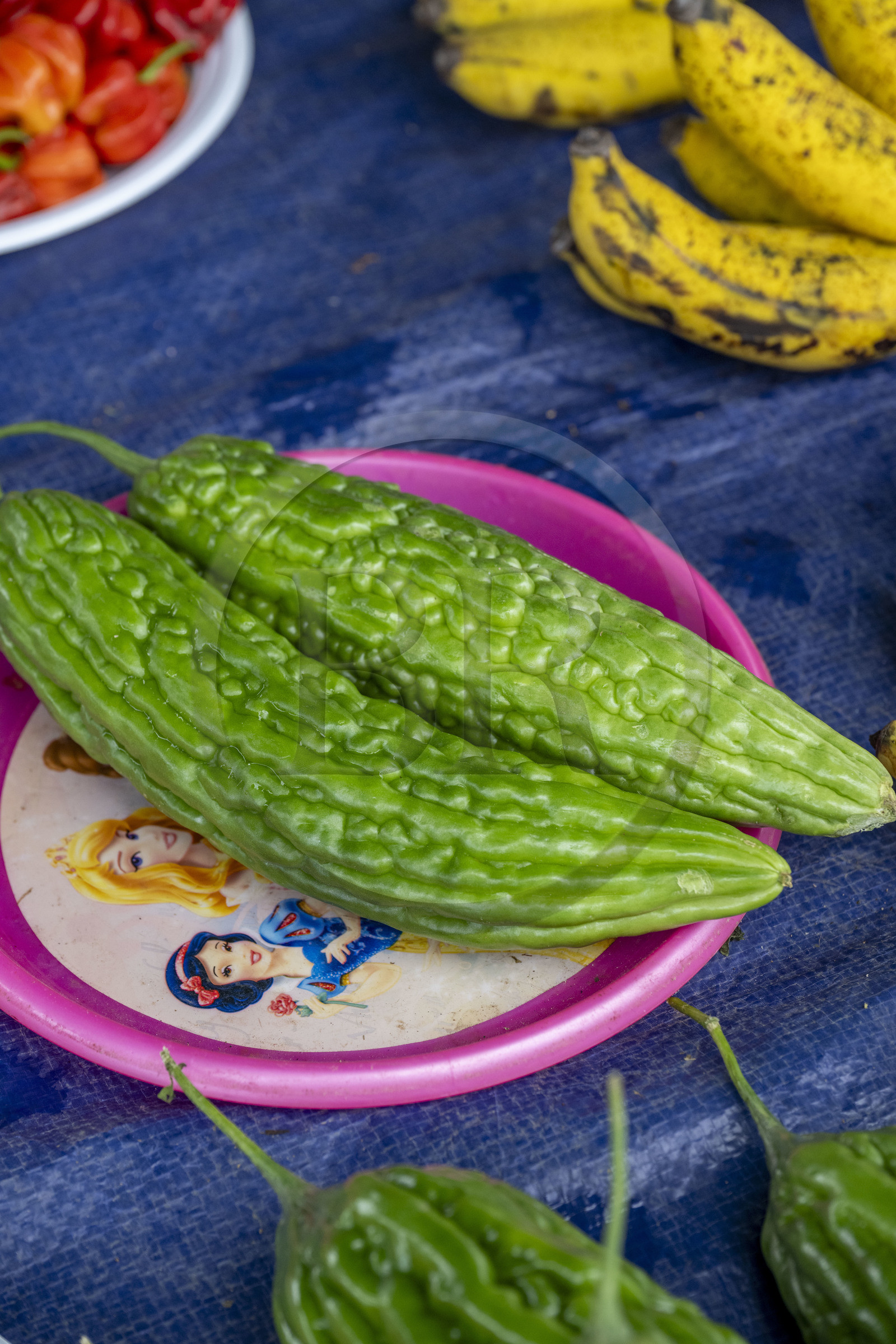 France, Guyane, Javouhey, marché du dimanche Hmong, réfugiés du Laos arrivés en 1978 qui se sont spécialisés dans la culture fruitière, margoze (concombre amère)