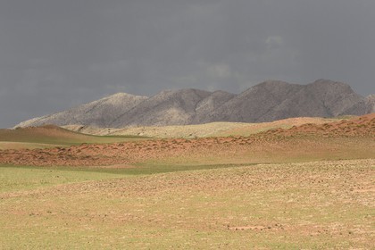 Namibie, région de Erongo, désert du Namib en bordure du parc national Namib Naukluft