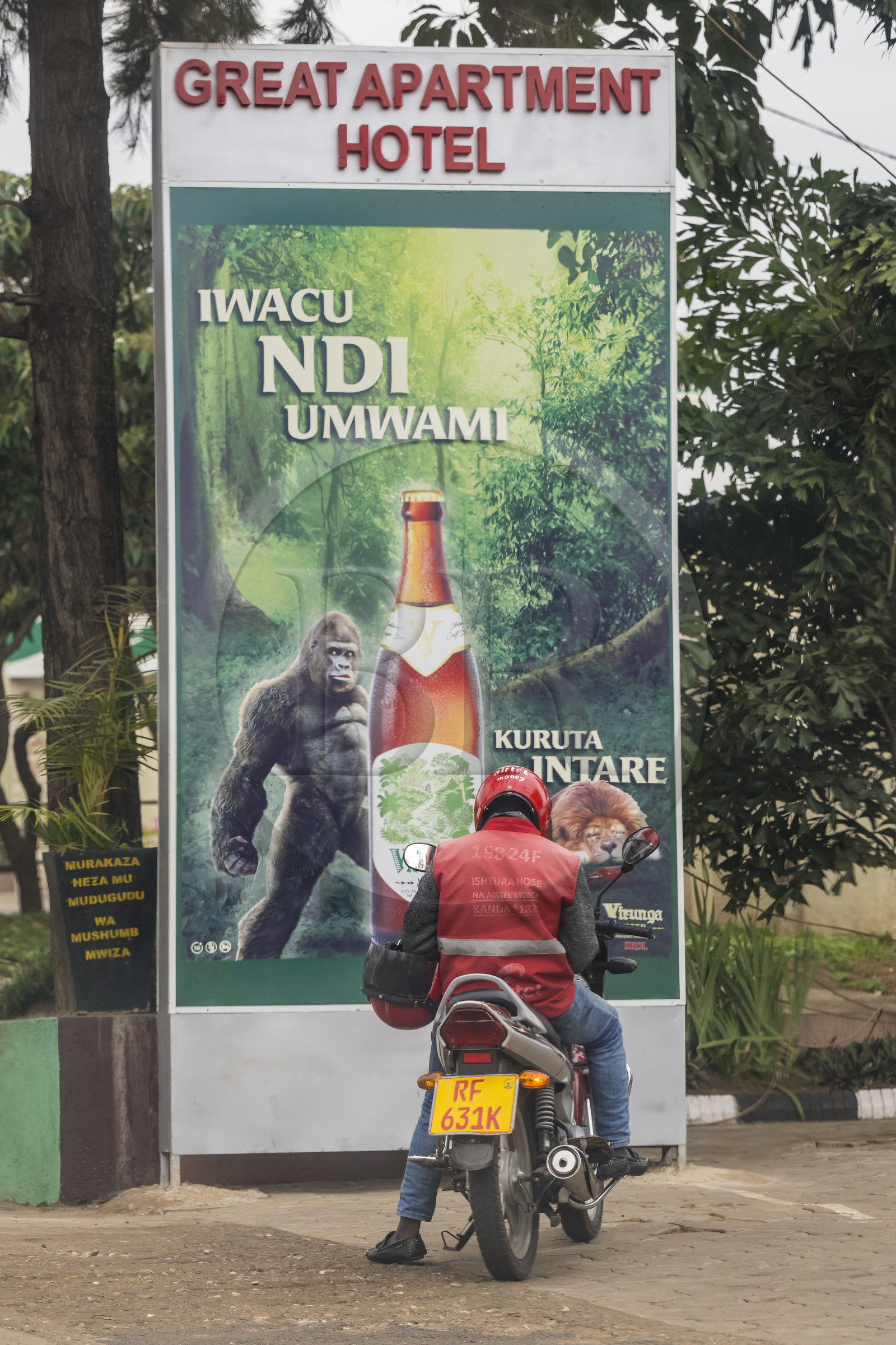 Rwanda, Kigali, publicité pour la bière Virunga fabriquée au Rwanda mettant en scène un gorille