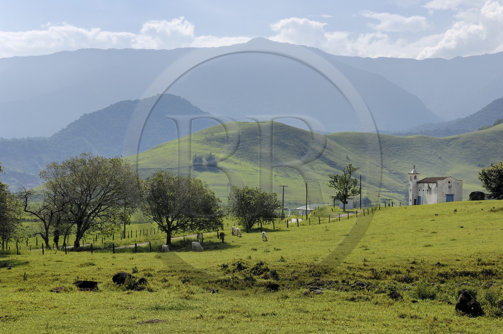 Brazil, Rio de Janeiro State, Serra da Mantiqueira, Parque Nacional de Serra da Bocaina along the Bay of Paraty (Gold Route, Estrada Real)