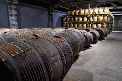 France, Charente (16), Cognac, les chais de vieillissement de la Maison de cognac Hennessy, tierçons calligraphiés à l'ancienne au premier plan et