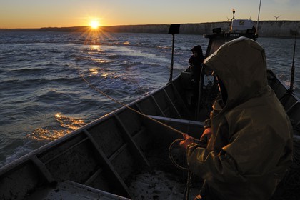 France, Seine-Maritime, off the coast of Veules-les-Roses at dawn, net fishing on the boat La Pomme owned by Anthony Paumier the youngest skipper in France