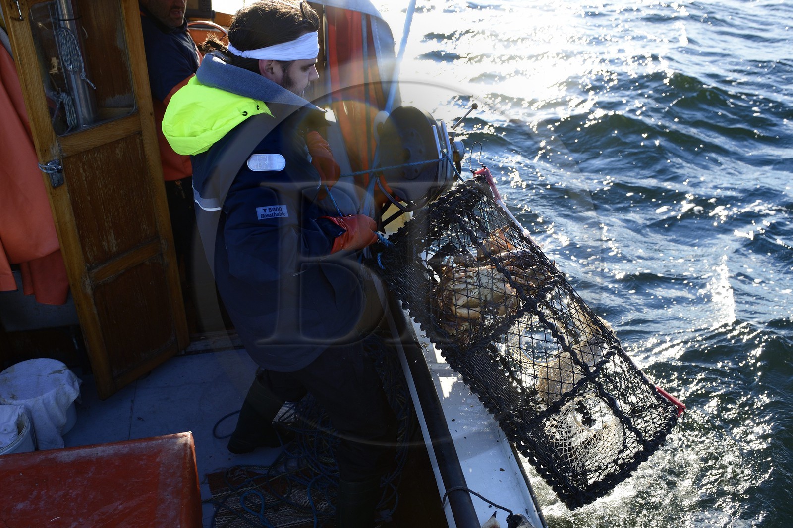 Suède, Västra Götaland, Iles Koster, sortie en mer pour récupérer les casiers à homards Suède, Västra Götaland, Iles Koster, sortie en mer pour récupérer les casiers à homards