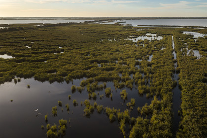 France, Gard, the marshes of the Petite Camargue at Gallician next to Vauvert (aerial view)