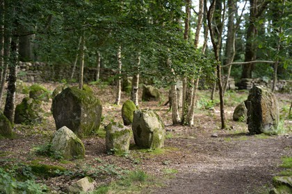 France, Morbihan, Carnac, row of megalithic standing stones at Petit Menec