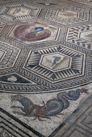 France, Vaucluse (84), Vaison-la-Romaine, site archéologique de Puymin, musée archéologique Théo Desplans, mosaïque de la Maison du Paon (milieu IIe siècle -fin IIIe siècle) située sur la colline du Puymin, la panthère marine (monstre marin) de l'écoinçon