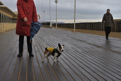 France, Calvados, Pays d'Auge, Deauville, the famous planks on the beach