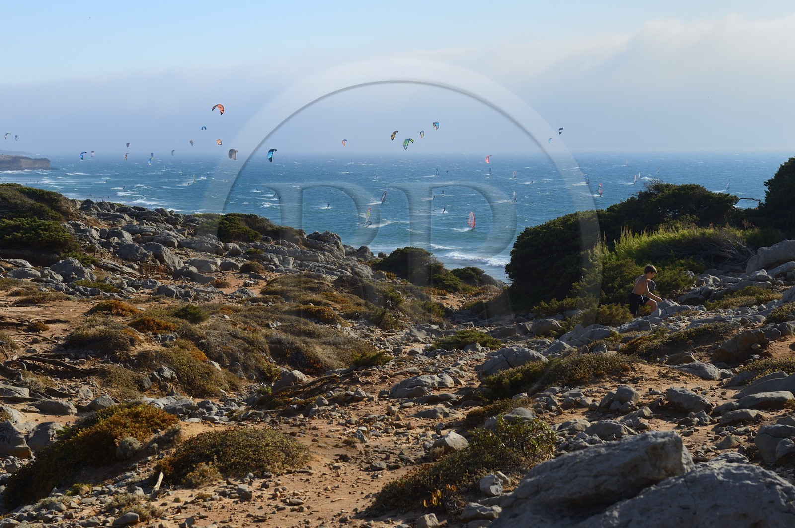 Portugal, région de Lisbonne, Cascais, végétation autour de la plage de Guincho sur la côte d'Estoril