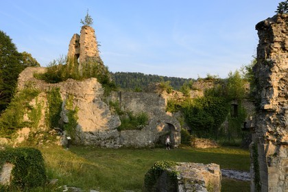 France, Haut Rhin, Sundgau, Oberlarg, ruins of the Morimont castle of the 12th century