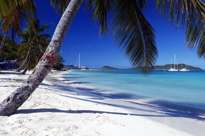 Caraïbes, Saint-Vincent et les Grenadines, archipel des Tobago Cays, plage de petites îles inhabitées
