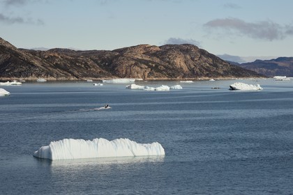 Groenland, cote ouest, baie de Disko, hors-bord progressant entre les icebergs dans la baie de Quervain