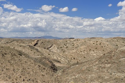 Namibie, région de Erongo, parc national Namib Naukluft, désert du Namib, montagnes du Kuiseb Pass