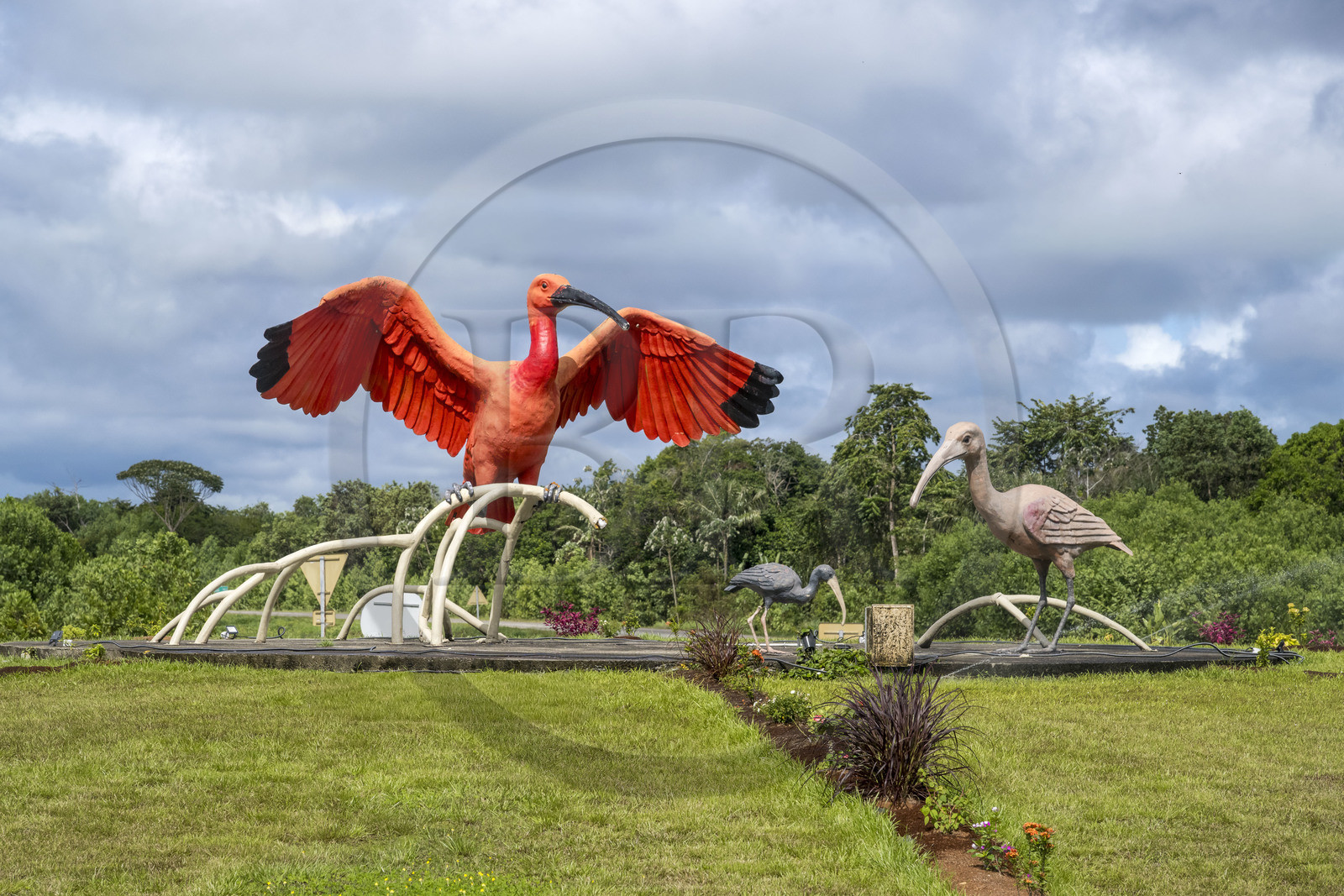 France, Guyane, Ibis rouge est un des grands emblèmes de la Guyane, ici au centre d'un rond-point à Sinnamary sur la route nationale 1 (N1) reliant Cayenne à Saint-Laurent-du-Maroni