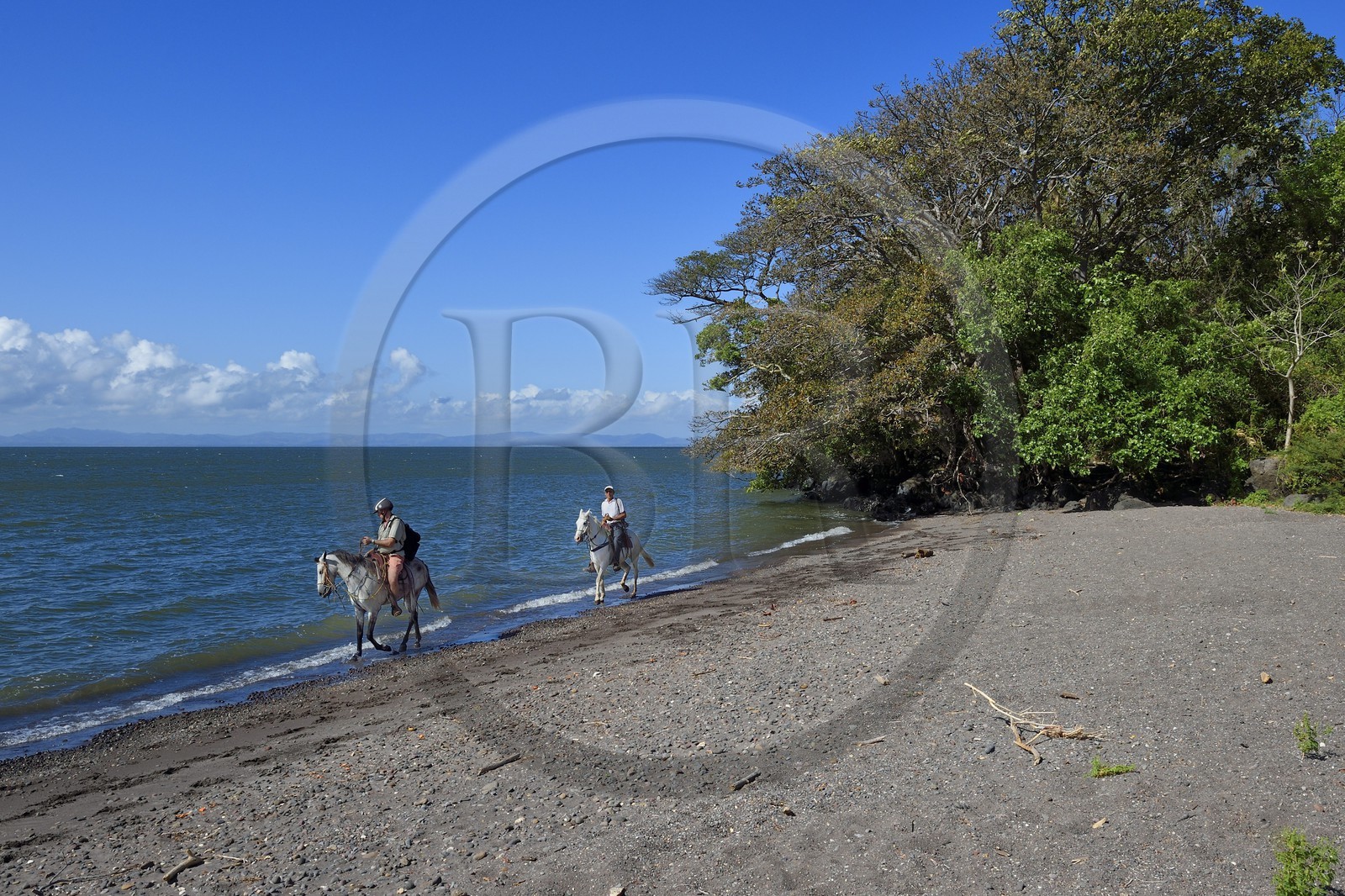 Nicaragua, Ile d'Ometepe sur le lac Nicaragua, cavaliers en randonnée en bordure du lac
