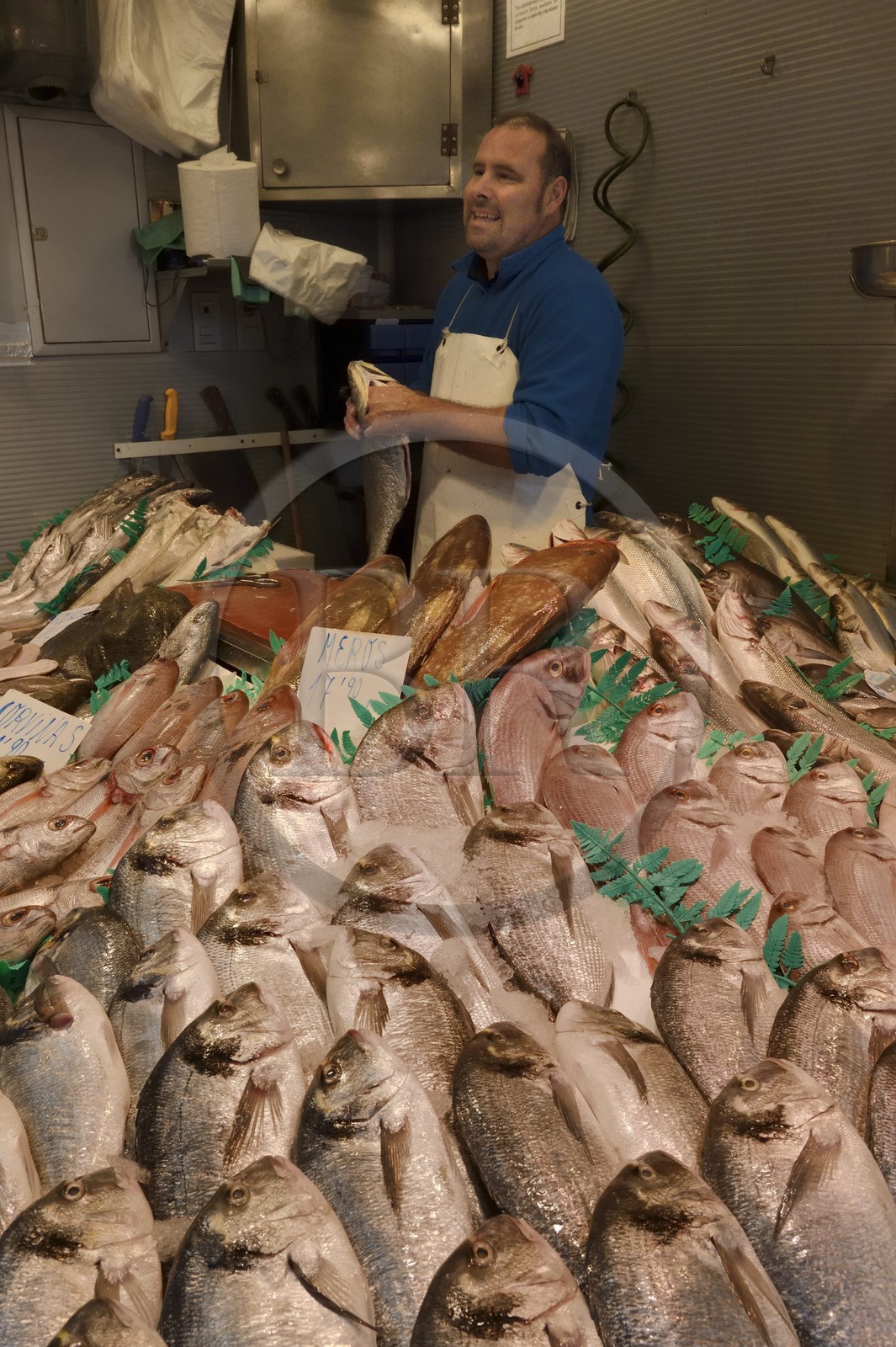 Espagne, Andalousie, Malaga, Mercado Central de Atarazanas, le marché aux poissons dans le marché central