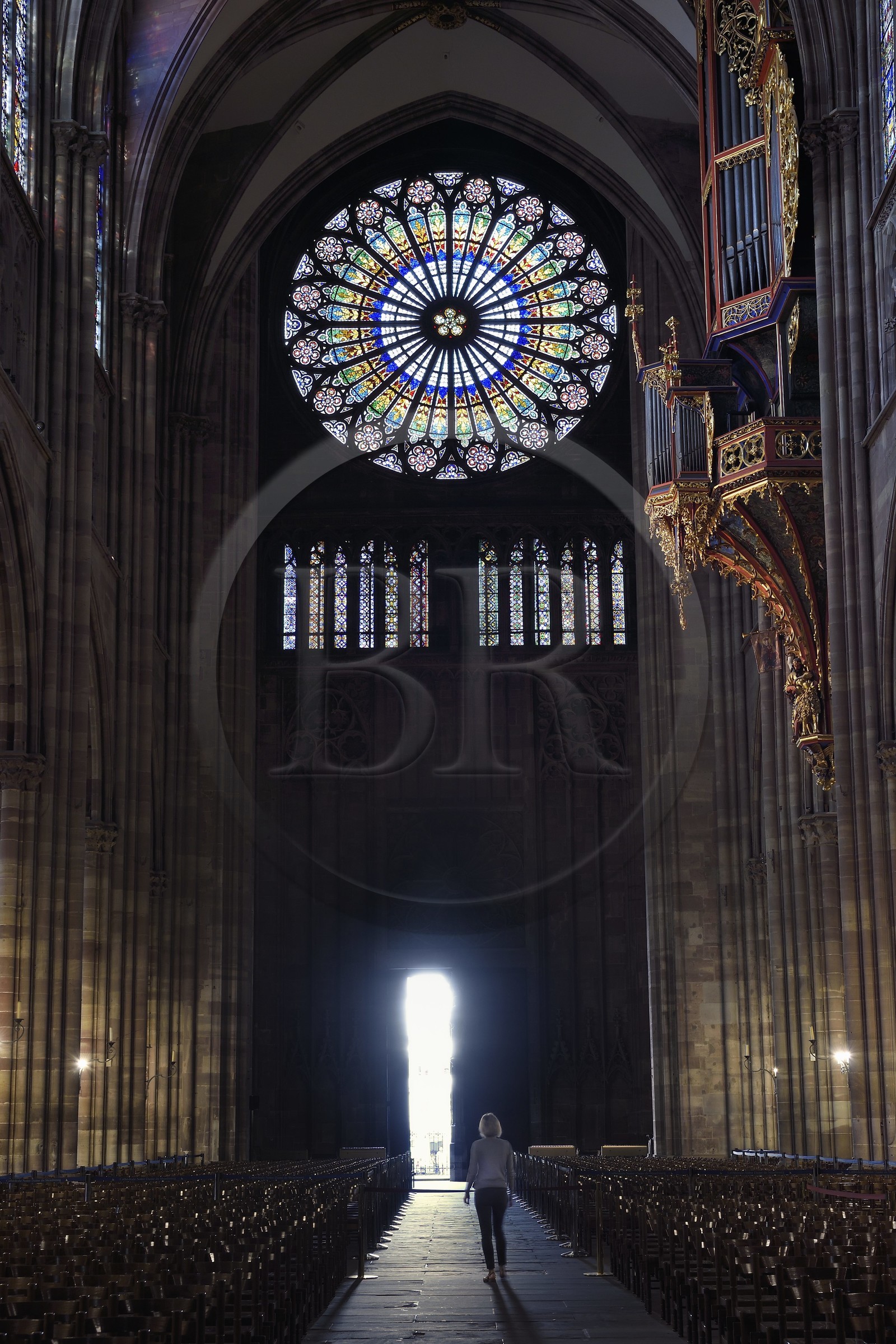France, Bas-Rhin (67), Strasbourg, vieille ville classée au Patrimoine Mondial de l'UNESCO, la cathédrale Notre-Dame, la grande rose de la facade occidentale d'un diamètre de 13,60 m et le grand orgue au dessus de la nef France, Bas-Rhin (67), Strasbourg, vieille ville classée au Patrimoine Mondial de l'UNESCO, la cathédrale Notre-Dame, la grande rose de la facade occidentale d'un diamètre de 13,60 m et le grand orgue au dessus de la nef