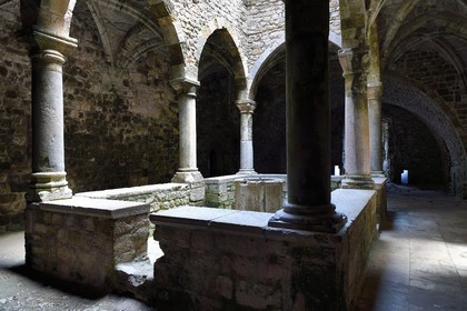 France, Alpes-Maritimes (06), Cannes, Iles de Lérins, Ile de Saint-Honorat, Abbaye de Lérins, le cloitre inférieur dit de travail du XIVème siècle de l'ancien monastère fortifié élevé en 1073