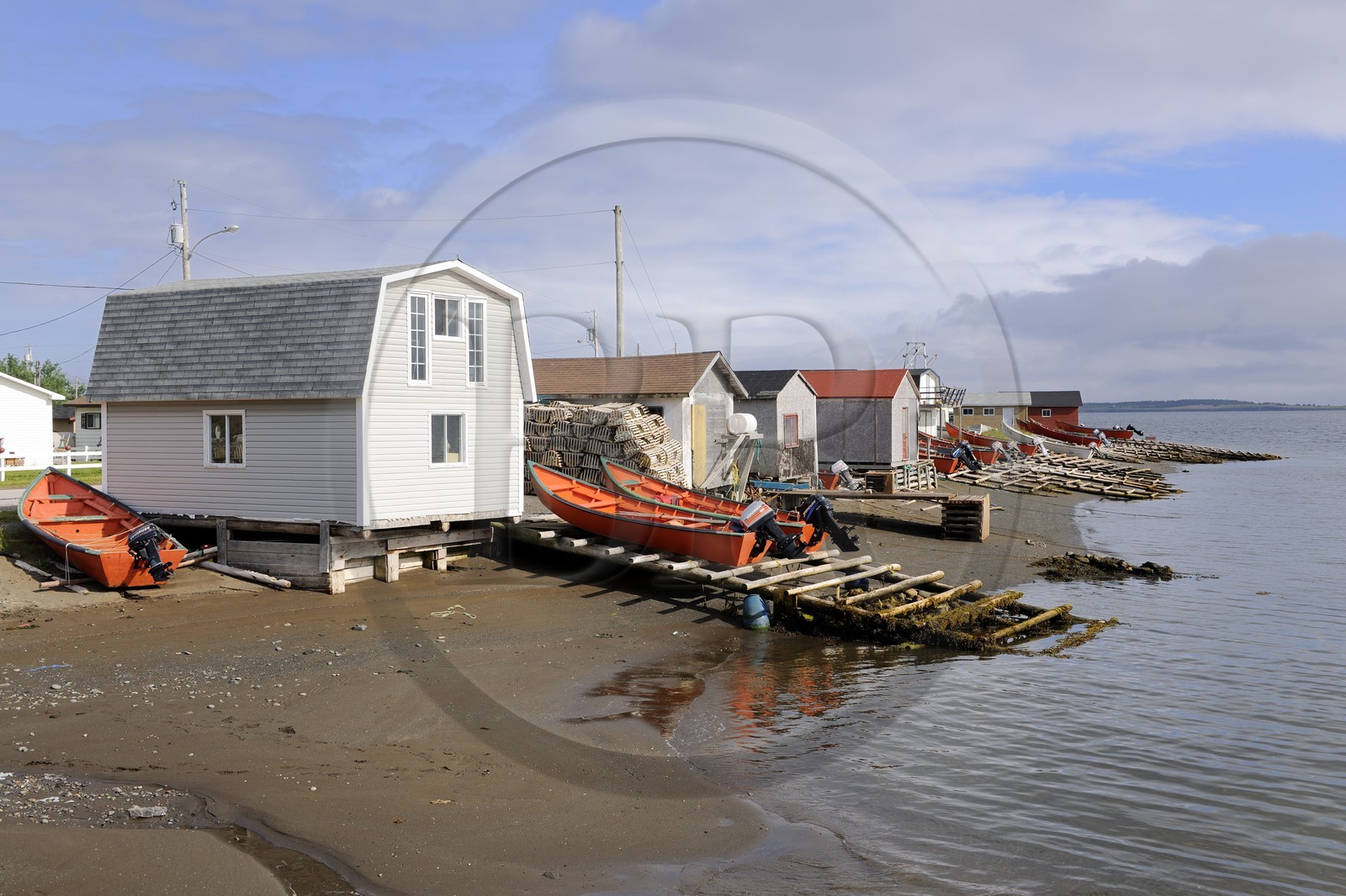 Canada, province de Terre-Neuve et Labrador, Ile de Terre-Neuve, fjord de Corner Brook, sur les traces du capitaine Cook, village de pêcheurs Frenchman's Cove