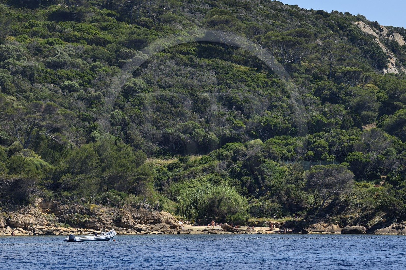 France, Var (83), Iles d'Hyères, Parc national de Port Cros, Ile du Levant, domaine naturiste d'Héliopolis, zone exclusivement naturiste sur la seule plage de sable en dessous de la zone militaire