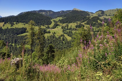 Switzerland, Canton of Vaud, Gryon, view of the Col de Soud above Villars-sur-Ollon