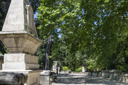 France, Bouches du Rhone, Arles, the Alyscamps, listed as World heritage by UNESCO, a pagan then Christian necropolis from the Roman era to the Middle Ages, comprising numerous sarcophagi