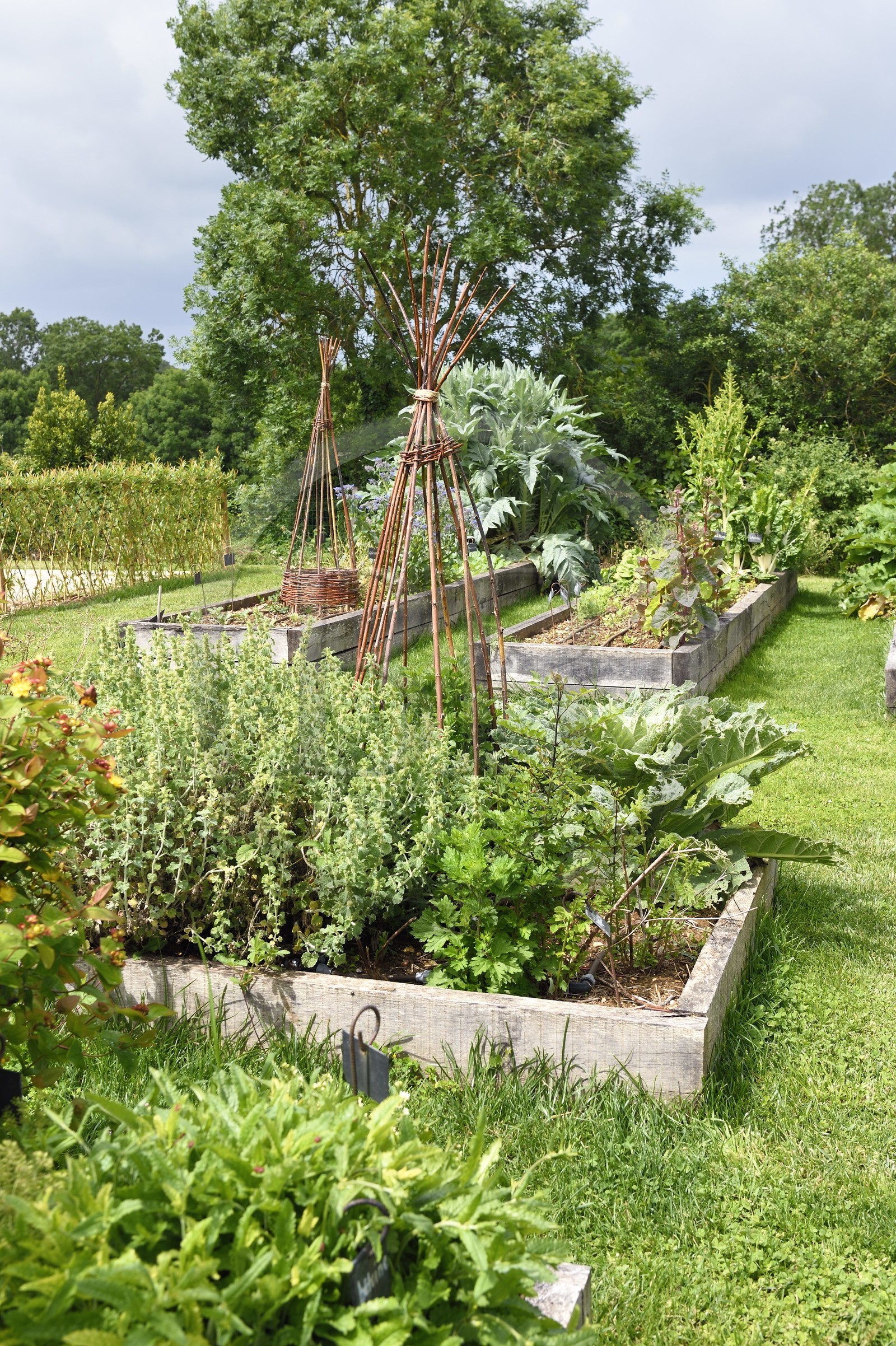 France, Charente-Maritime (17), l'ancien prieuré Saint-Jean-l'Évangéliste de Trizay appelé abbaye de Trizay, le jardin médiévale