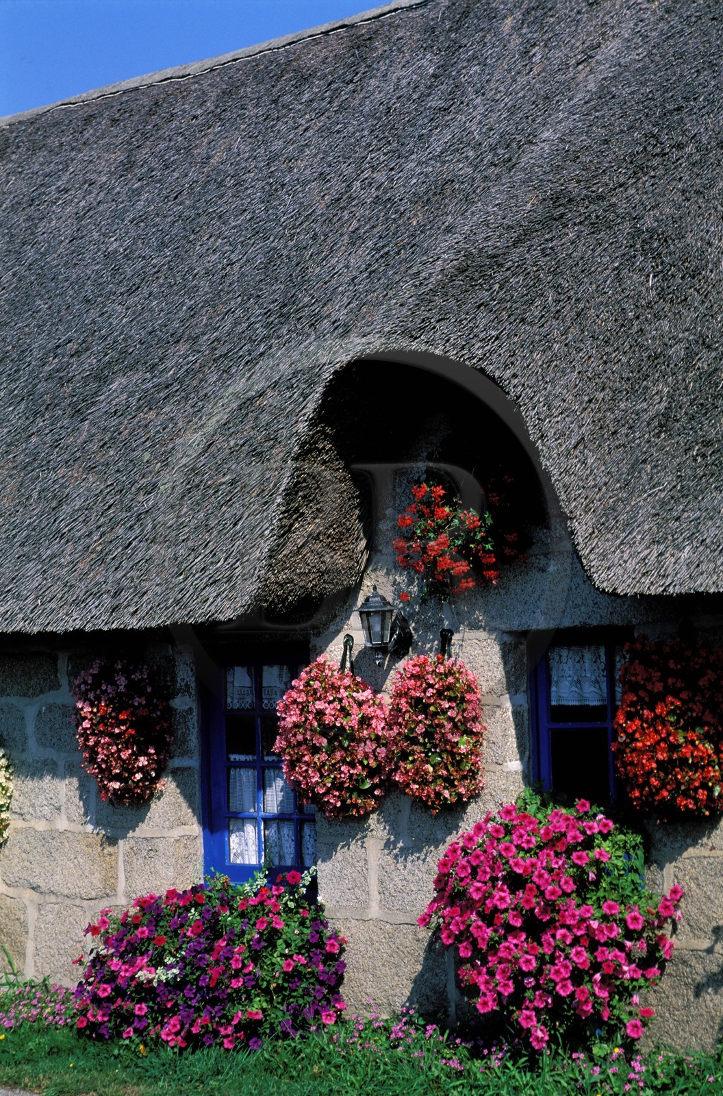 France, Finistère (29), maison traditionnelle à toit de chaume (Pays bigouden)