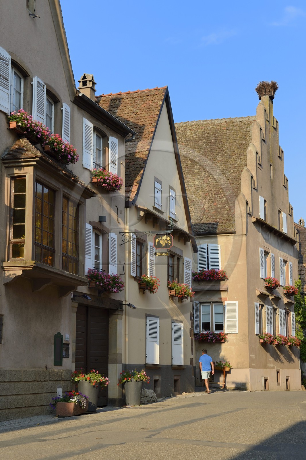 France, Bas-Rhin (67), Route des Vins d'Alsace, Mittelbergheim, labellisé Les Plus Beaux Villages de France, maison à pignons