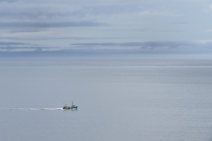 France, Finistere, Plougasnou, trawler returning from his fishing off the Pointe de Diben