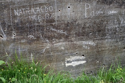 France, Alpes-Maritimes, parc national du Mercantour (Mercantour National Park), the Vallee des Merveilles (Valley of Wonders) scattered with thousands of rupestral engravings of the Bronze Age, the glazed wall, prehistoric and historic linear engravings covered with graffiti