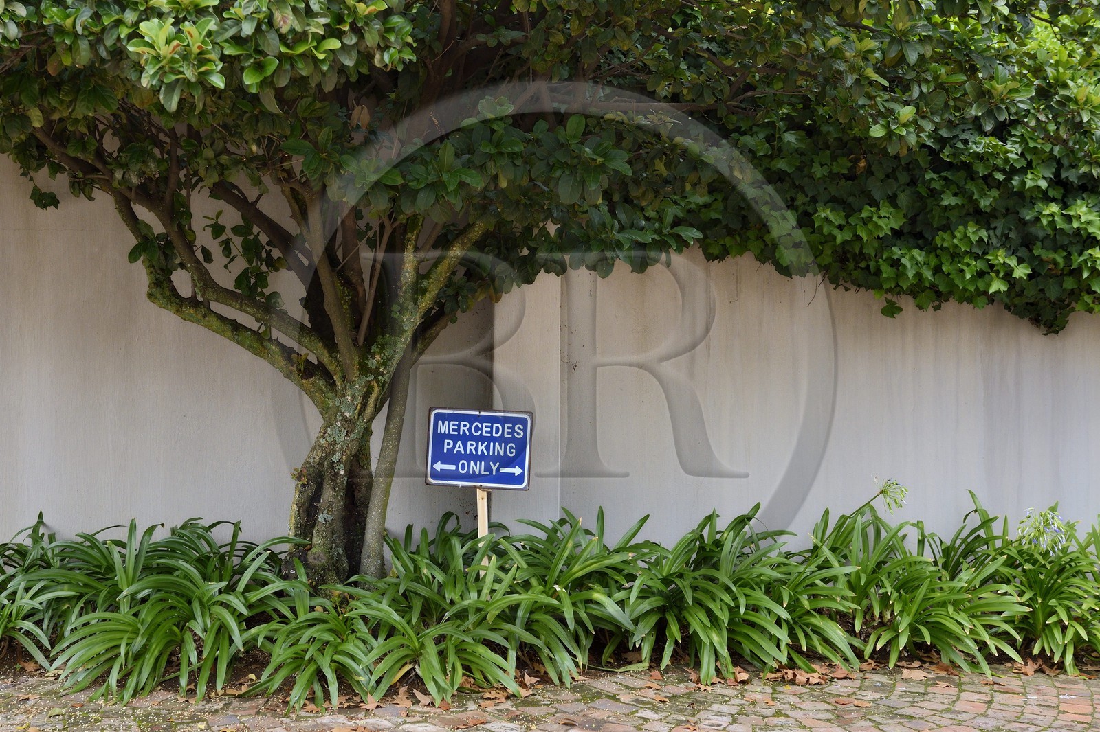 Afrique du Sud, province de Gauteng, Johannesburg, Galerie Momo à Parktown North, panneau de parking en clin d'oeil à la période de l'Apartheid