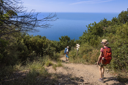 Italy, Liguria, Cinque Terre National Park listed as World Heritage by UNESCO, village of Monterosso al Mare, hike on the GR 582 path between the sanctuary of Nostra Signora de Soviore and Nostra Signora di Reggio on the heights of Vernazza
