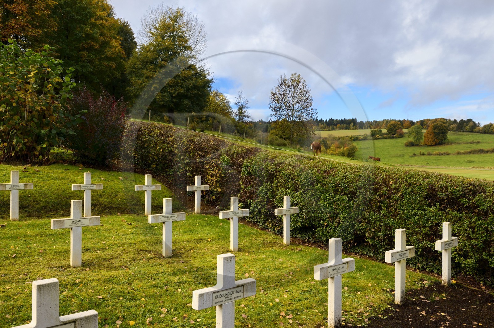 France, Meuse (55), Parc régional de Lorraine, Cotes de Meuse, Saint-Remy-la-Calonne, Nécropole nationale où repose l'écrivain Alain-Fournier
