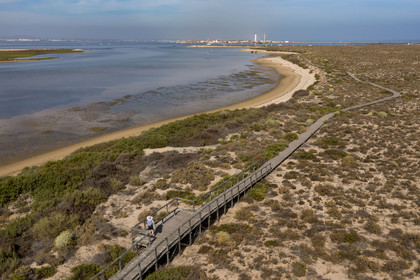 Portugal, Algarve, Ria Formosa Natural Park, Faro, wooden plank path on Island of Barreta or Deserta (Ilha da Barretta or Deserta), the lighthouse of Ilha do Farol part of  Ilha da Culatra in the background (aerial view)