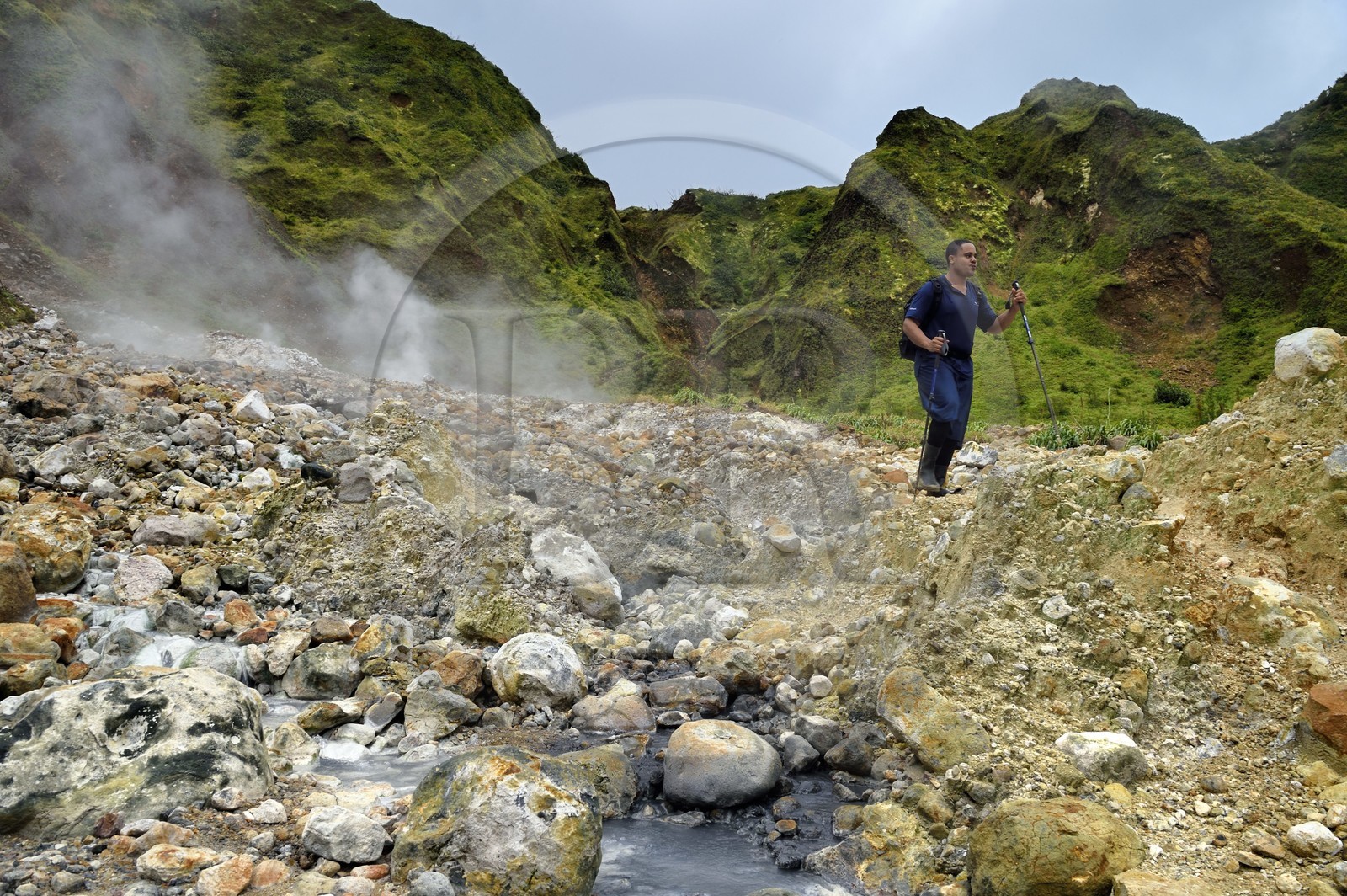 Caraïbes, Ile de la Dominique, Castle Bruce, Parc national du Morne Trois Pitons classé Patrimoine Mondial de l'UNESCO, la Vallée de la Désolation, randonnée sur le sentier menant au Boiling Lake