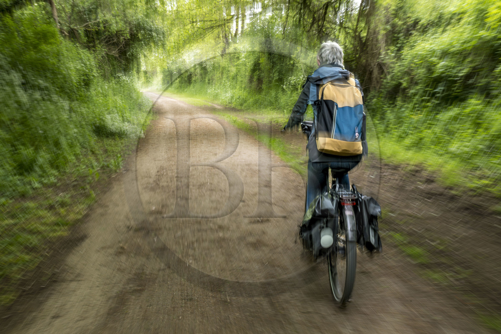 France, Vendée (85), Fontenay-le-Comte, cycliste sur la piste de la véloroute Vendée Vélo Tour aménagée sur une ancienne voie de chemin de fer