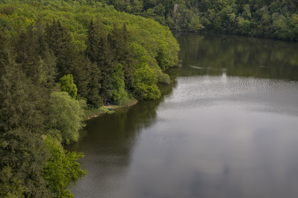 France, Vendée (85), Mervent, forêt de Mervent où les eaux des rivières la Mère et la Vendée se rejoignent, pêcheur en bordure de rivière