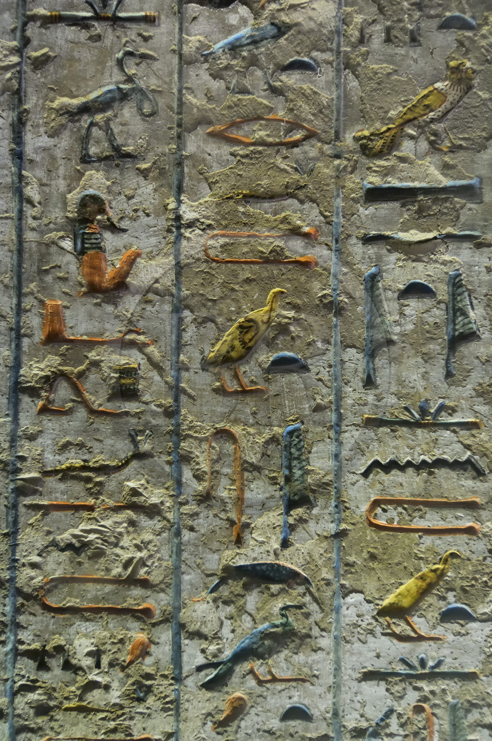 Egypte, Haute Egypte, vallée du Nil, environs de Louxor, nécropole thébaine classée Patrimoine Mondial de l'UNESCO, Thèbes Ouest, vallée des Rois, hiéroglyphes de la tombe de Ramses III