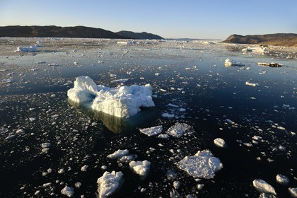 Groenland, cote ouest, baie de Disko, icebergs dans la baie de Quervain, le glacier Kangilerngata sermia voisin du glacier Eqip Sermia (glacier Eqi) en arrière plan