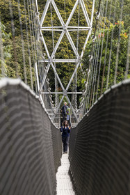 Rwanda, Province de l’Ouest, Colline Ibanda à Uwinka, Parc national de Nyungwe, la Canopy walkway passerelle suspendue qui surplombe la canopée de la forêt tropicale à 70 mètres de haut