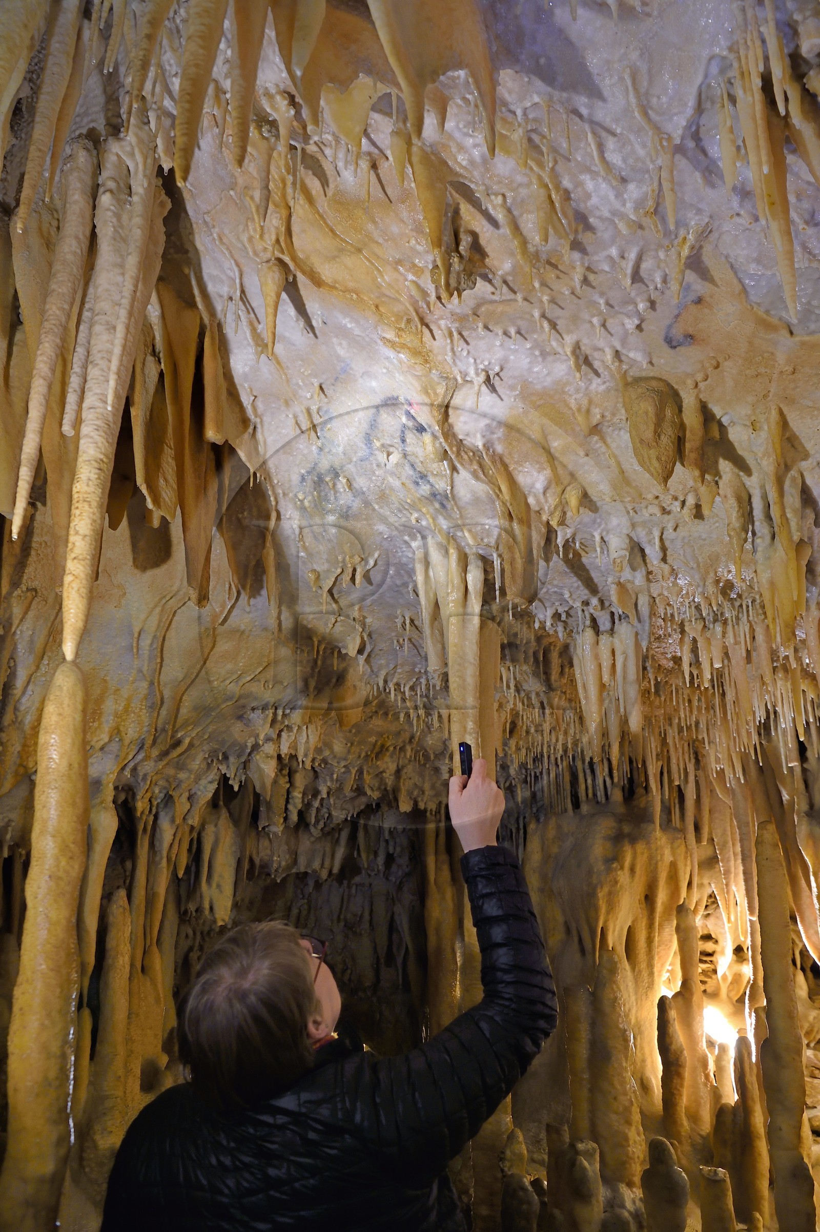 France, Dordogne (24), Périgord Vert, Villars, Grotte de Villars, dessin paléolithique au dioxyde de manganèse d'un cheval datant d' environ 17000 ans (Magdalénien)
