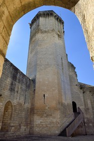 France, Dordogne (24), Périgord Vert, Bourdeilles, chateau de Bourdeilles, le donjon du chateau médiéval du XIIIème siècle