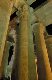 Egypt, Upper Egypt, Nile Valley, Kom Ombo Temple dedicated to Sobek, the god with a crocodile's head